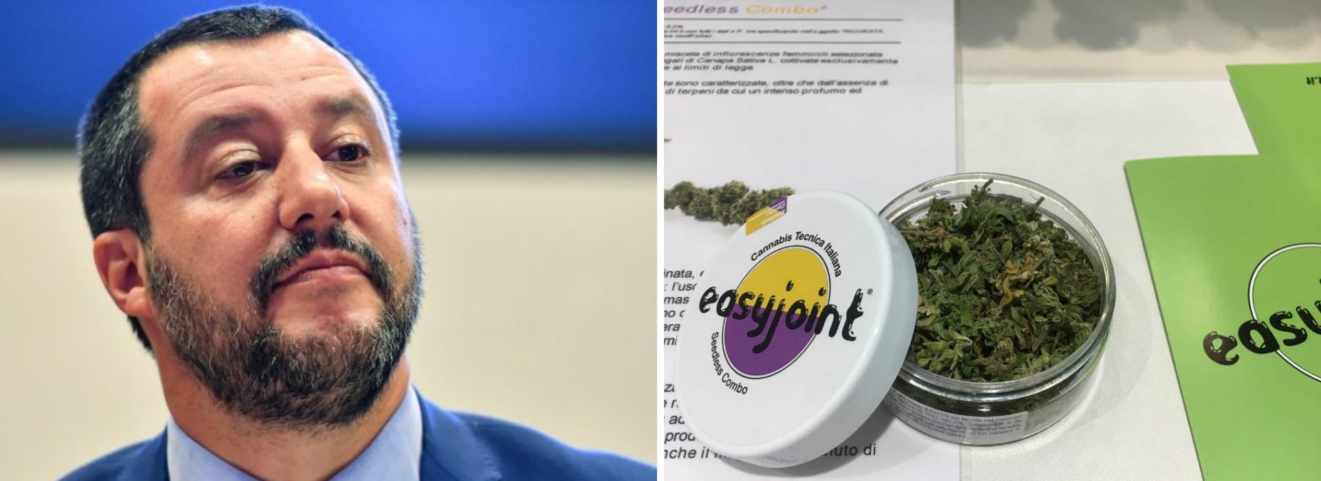 Cannabis Light Risposta Negozi A Salvini Non Sa Contrastare Mercato Nero