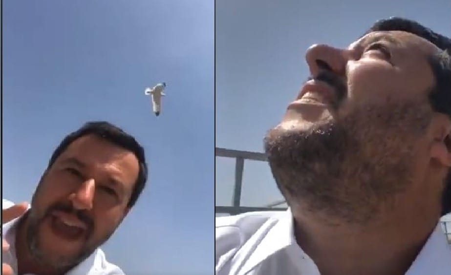 Salvini Attaccato Dai Gabbiani A Roma Se La Prende Con La Raggi