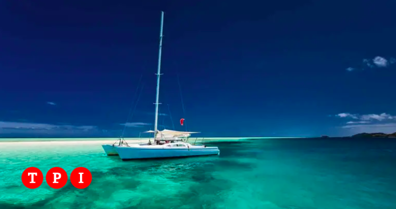 Genitori Legano Sul Catamarano E Vanno A Cucinare Bimba Muore