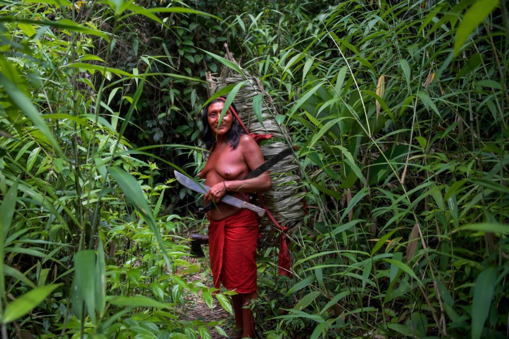 foresta amazzonica soggetto giuridico