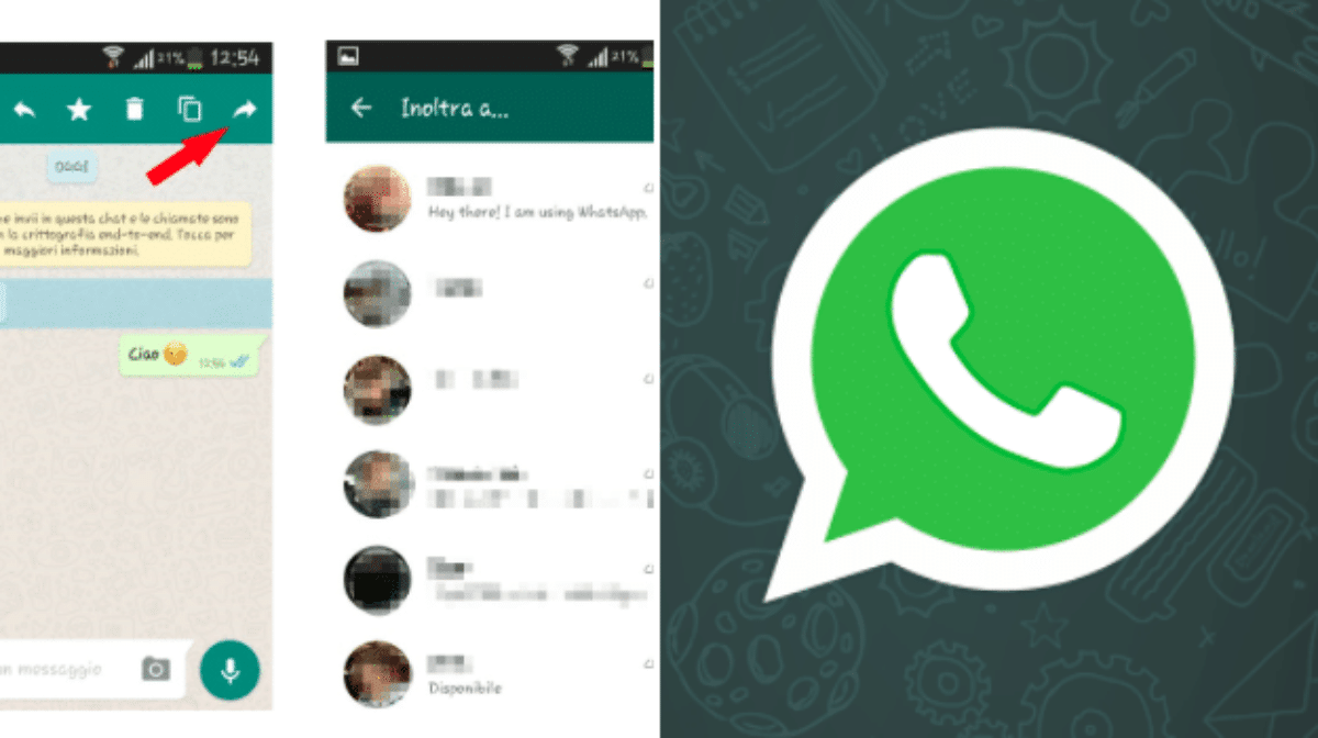 whatsapp inoltra messaggi