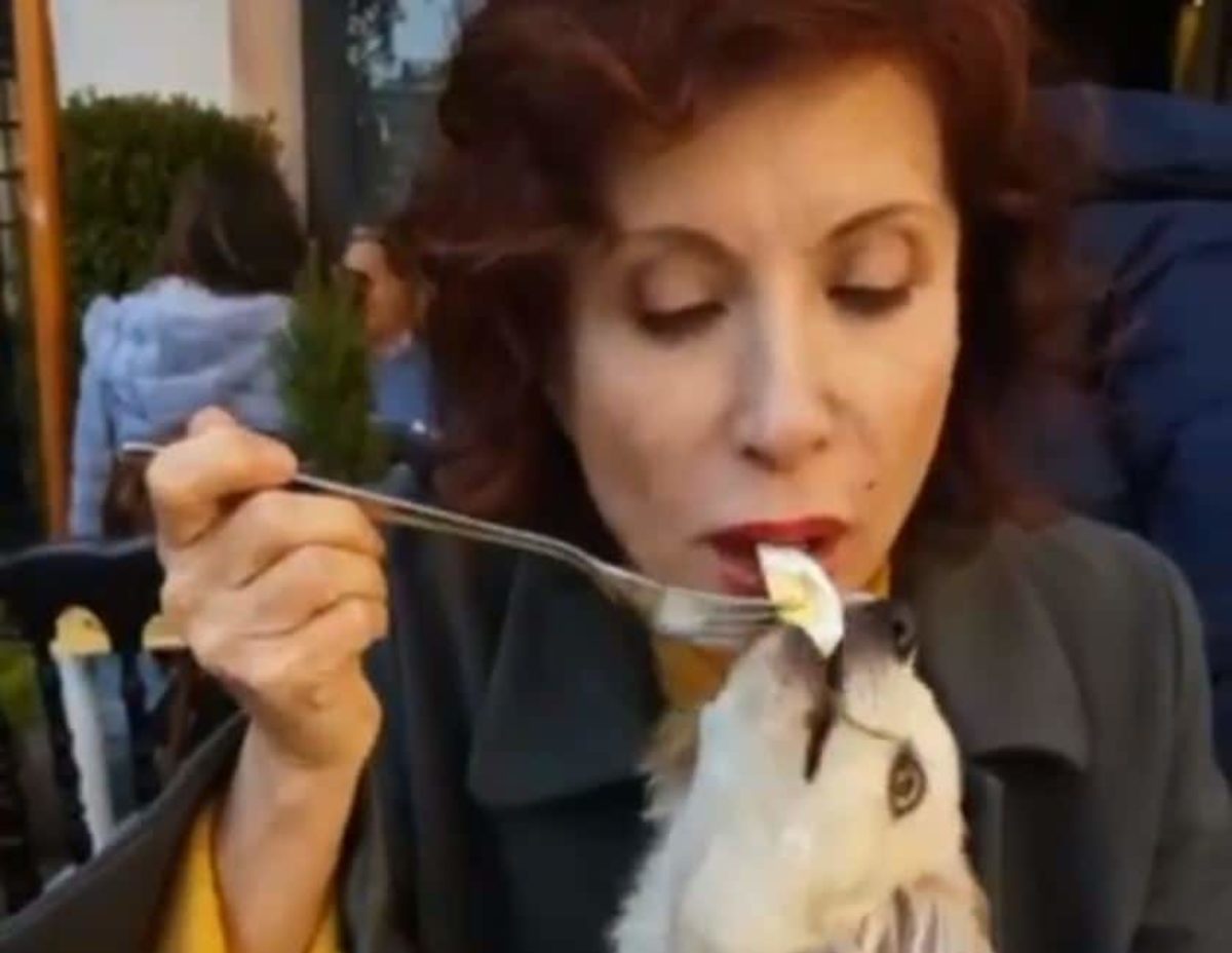 alda d eusanio cane pranzo critiche