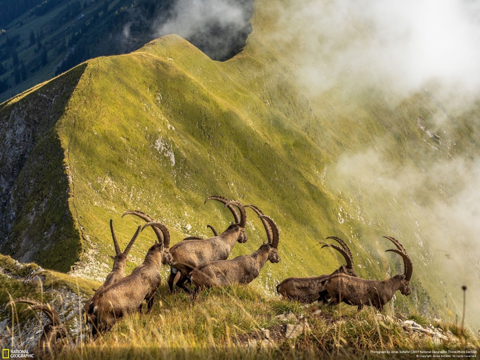 National Geographic Travel Photo Contest Vincitori 19