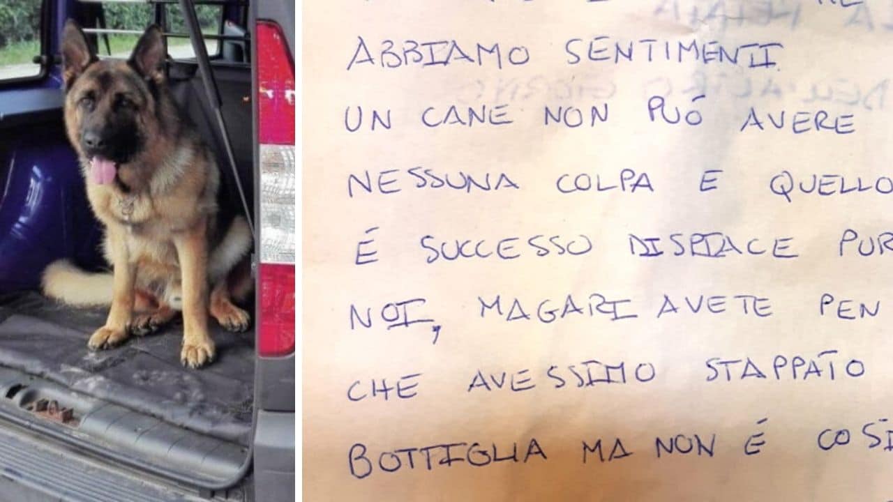 Cane Antidroga Morto Il Biglietto Degli Spacciatori Ci Dispiace