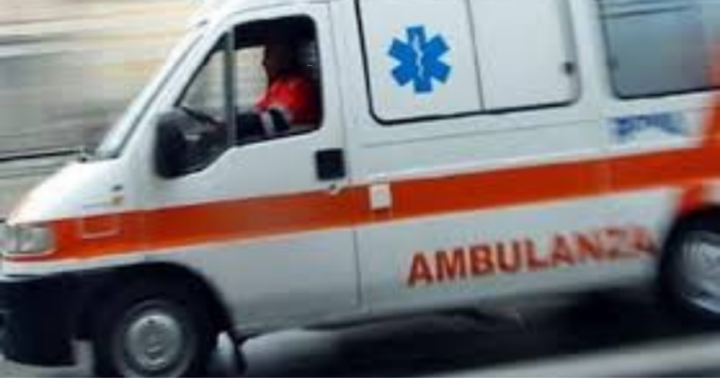 cinghiale incidente