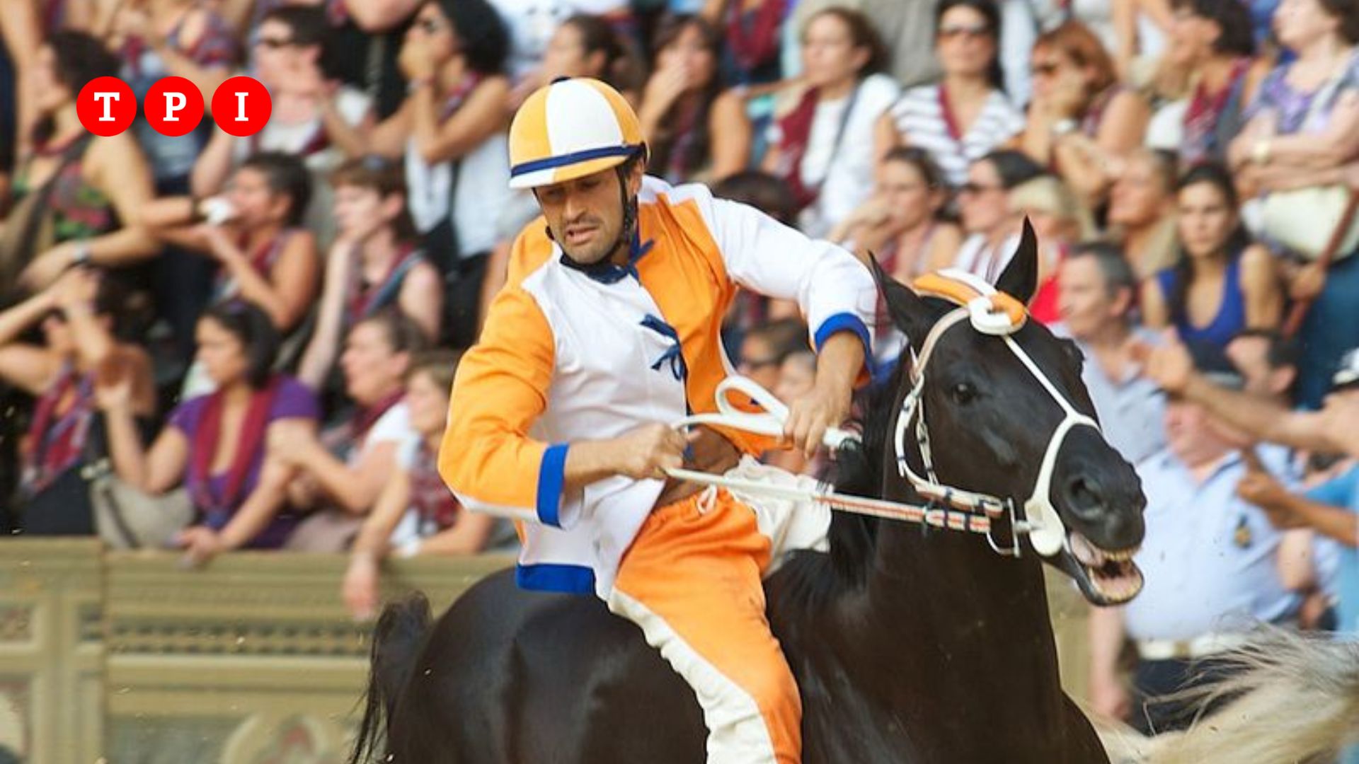 Palio di Siena 17 agosto 2022, vincitore chi ha vinto carriera oggi