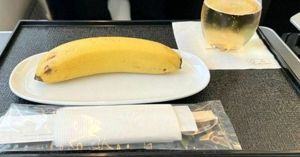 vegano pranzo aereo