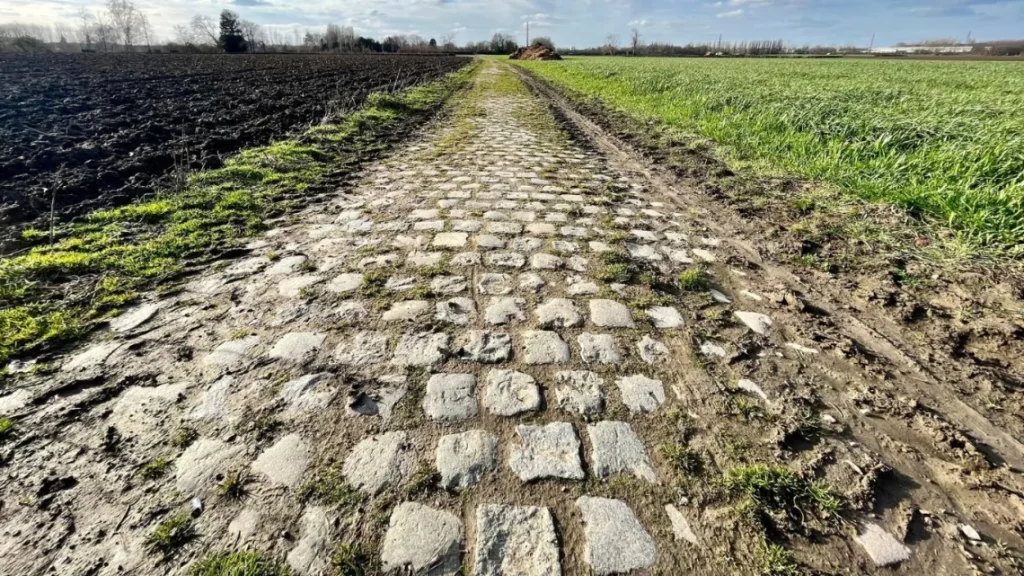 Parigi-Roubaix 2023: Mathieu a un passo dalla perfezione