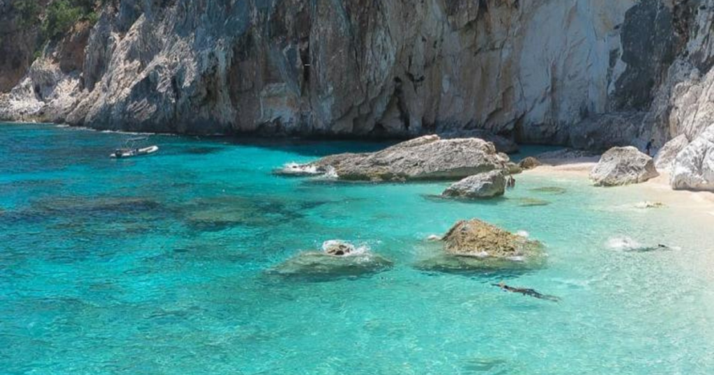 Sardegna albero spiaggia