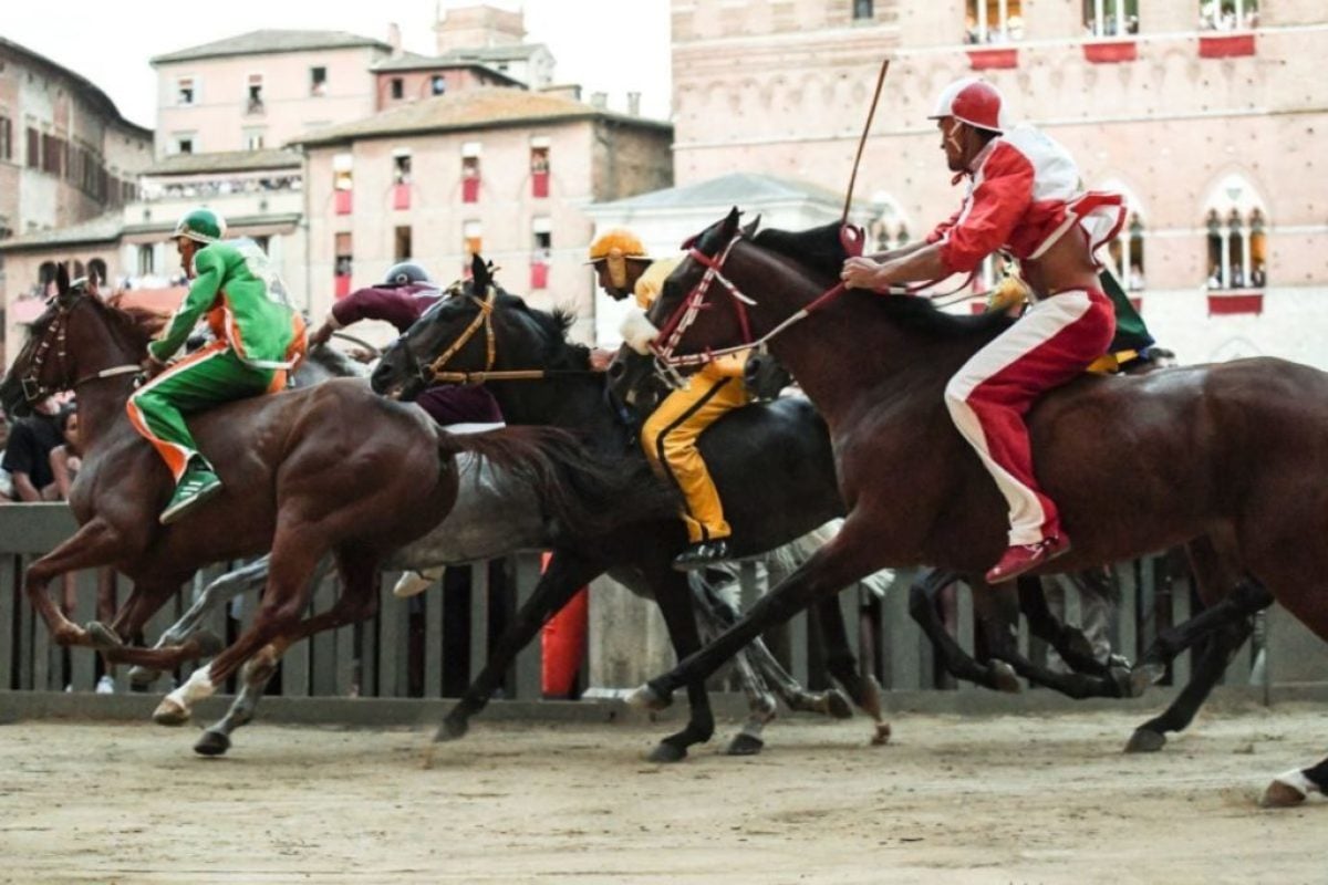 Palio di Siena 16 August 2023, winner who won today Result Pledge