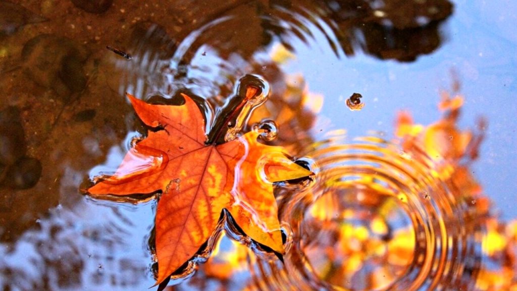 autunno meteo