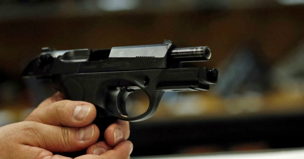 Bambino di tre anni uccide il fratellino con un colpo di pistola, la mamma L'ha presa dalla mia borsetta