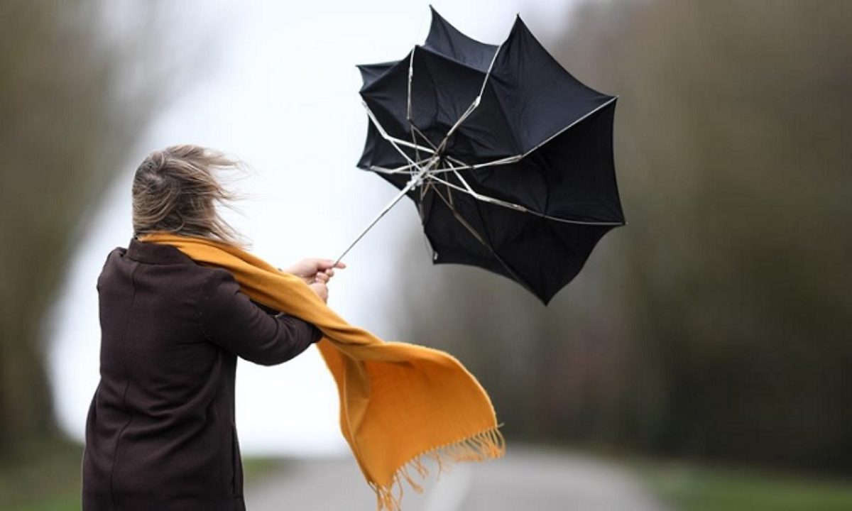 Maltempo, allerta gialla per vento forte in alcune zone dell’Emilia Romagna