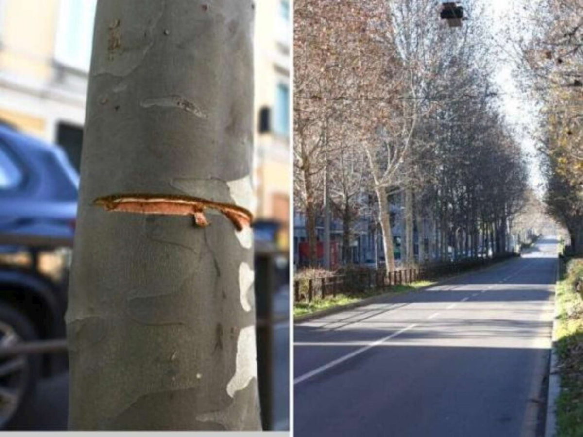 Tendono un cavo d’acciaio in strada a Milano, identificati i complici di Alex Baiocco