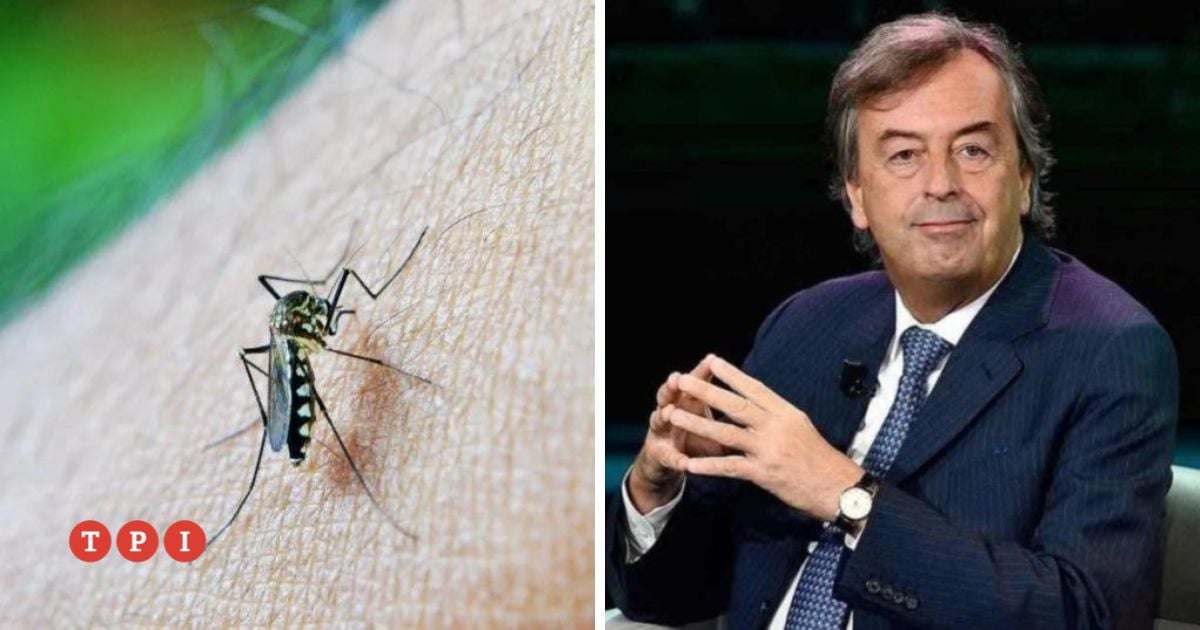 Focolaio di Dengue, oltre 100 contagi nelle Marche. L’allarme di Burioni: “Situazione fuori controllo, le infezioni sono minimo il doppio”