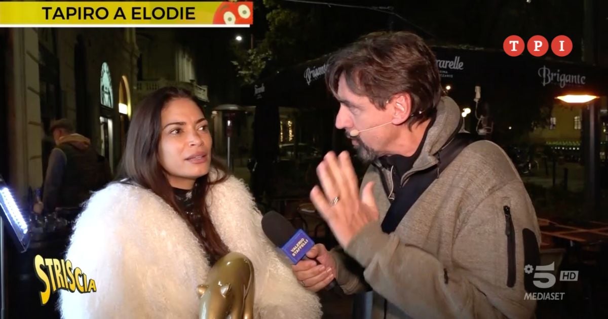 Tapiro d’oro a Elodie dopo le critiche per il doppiaggio nel film Mufasa: “Prima di dare giudizi bisogna ascoltare” | VIDEO