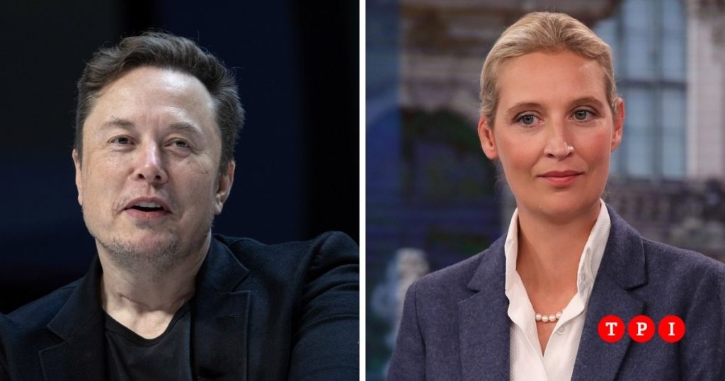 germania leader estrema destra afd alice weidel diretta x elon musk hitler comunista